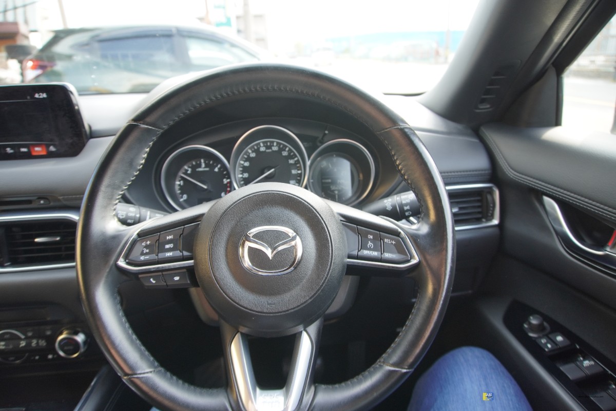 CX-8