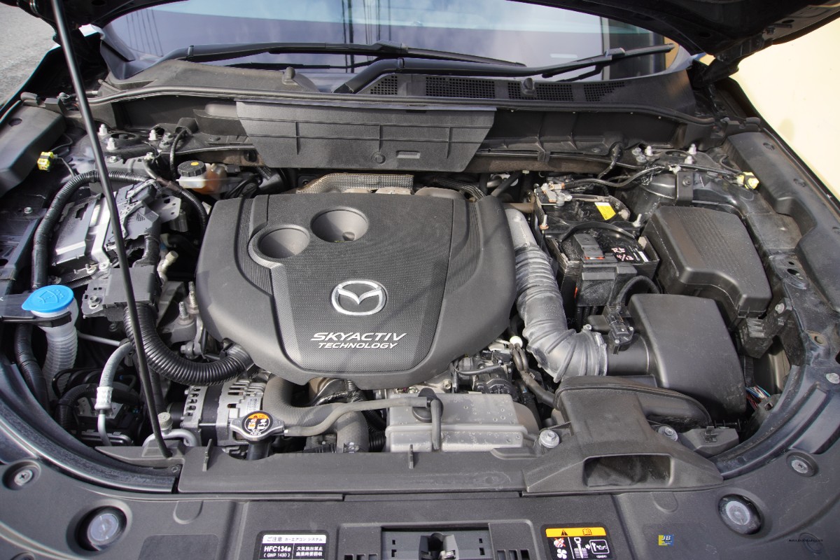 CX-8