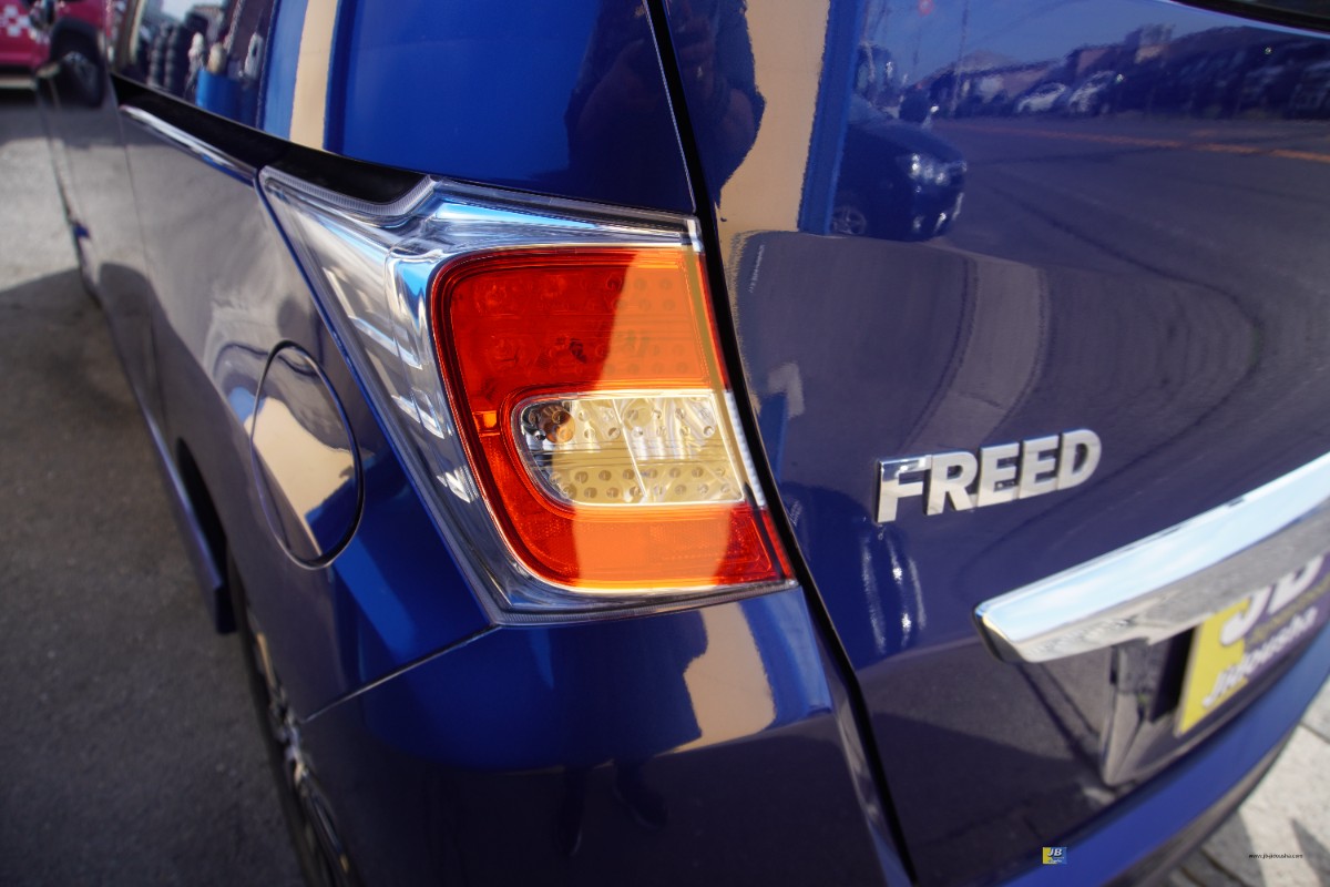 FREED HYBRID 